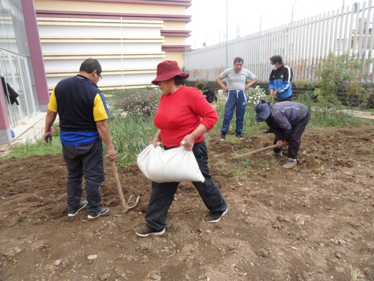 Read more about the article „Huertos Solidarios“
